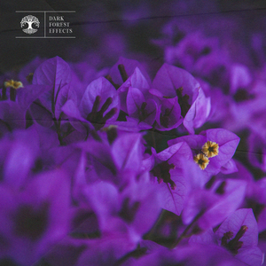 日本小视频在线
